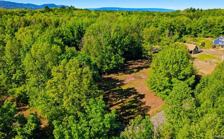 Pictures of Land property located at 238 Bruceville Road, High Falls, NY 12440 for sales - image #1