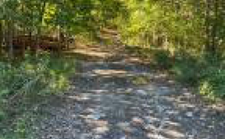 Pictures of Land, Special Purpose property located at L-33 Harring Road, Cairo, NY 12413 for sales - image #1