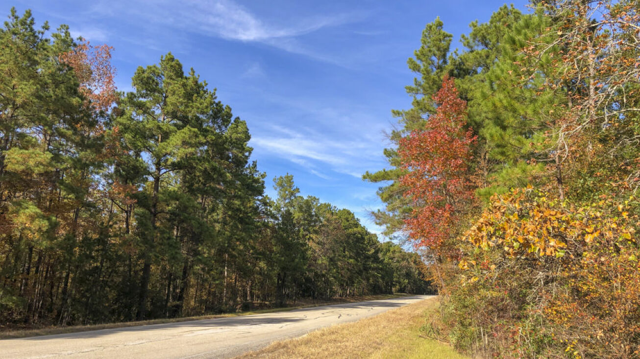 Waterwood Parkway, Huntsville, TX 77320 Land for Sale New Waterwood