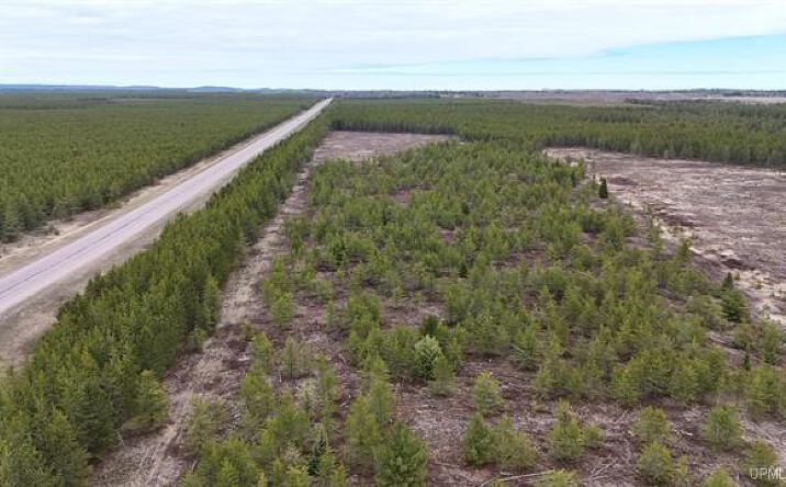 Pictures of Land property located at TBD S M-553 Highway, Gwinn, MI 49841 for sales - image #1