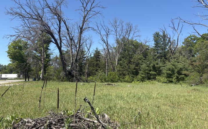 Pictures of Business for Sale property located at 9457 S M 37, Baldwin, MI 49304 for sales - image #1