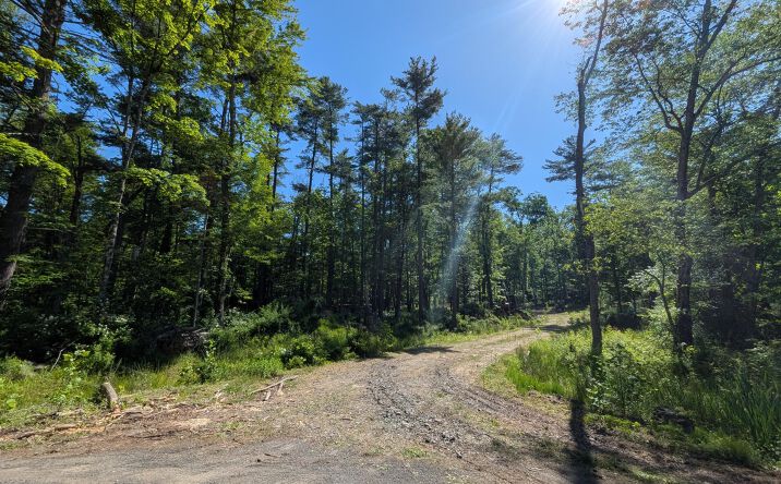 Pictures of Land property located at 856 Berme Road, High Falls, NY 12440 for sales - image #1