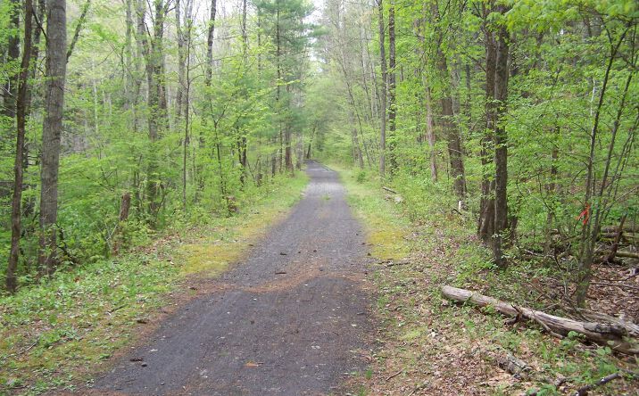 Pictures of Land, Special Purpose, Multifamily property located at Tbd Heinle Road, Hurley, NY 12401 for sales - image #1