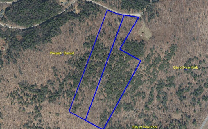 Pictures of Land property located at 380 Terrace Drive, Lexington, NY 12468 for sales - image #1