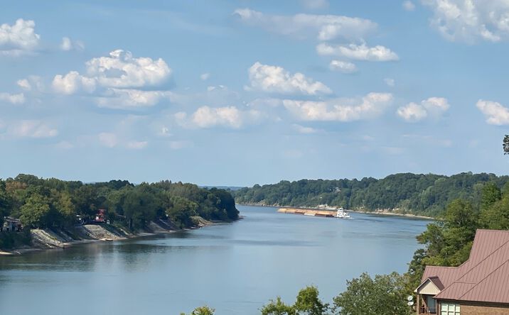 Pictures of Land property located at 19200 Clifton Rd., Savannah, TN 38372 for sales - image #1