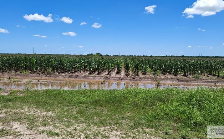 Pictures of Land, Multifamily property located at 675 Fm, San Benito, TX 78586 for sales - image #1