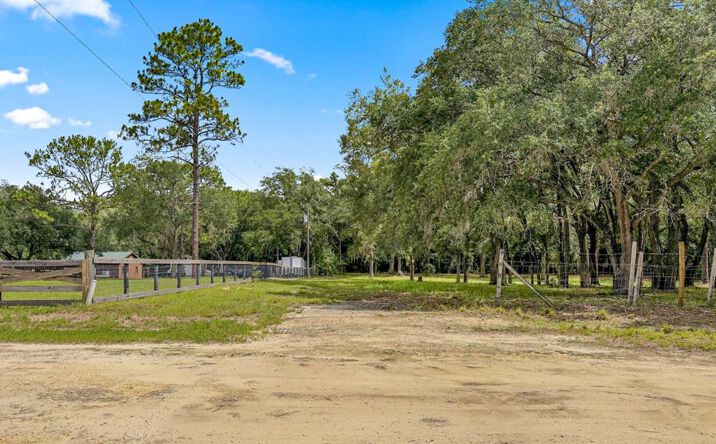 Pictures of Land property located at 21751 SE 64th Ln, Morriston, FL 32668 for sales - image #1
