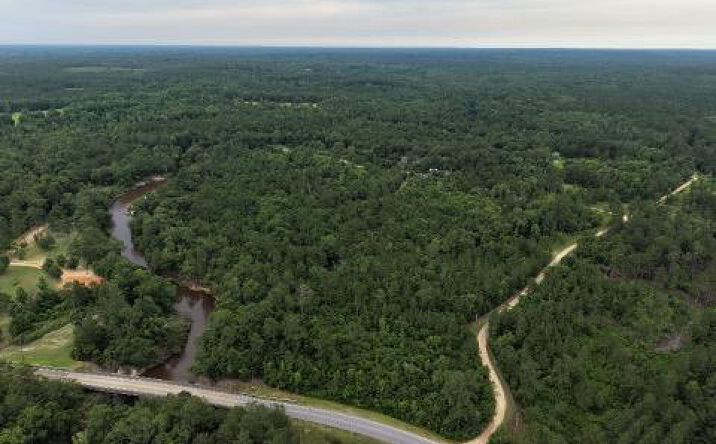 Pictures of Land, Special Purpose property located at 14+/- AC Lazy Wolf Cove, Poplarville, MS 39470 for sales - image #1