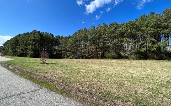 Pictures of Retail, Industrial, Office property located at 0 Highway 47, South Hill, VA 23970 for sales - image #1