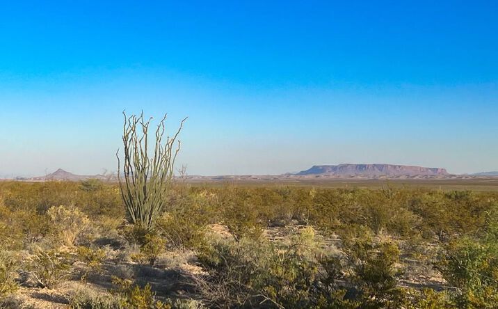 Pictures of Land property located at 25-3 S Hwy 118, Alpine, TX 79830 for sales - image #1