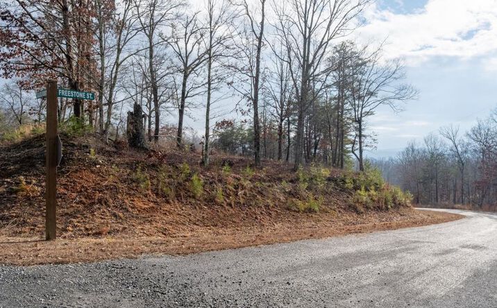 Pictures of Land property located at Freestone Street, Talking Rock, GA 30175 for sales - image #1