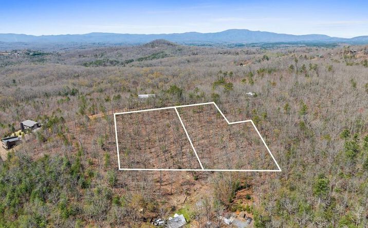 Pictures of Land property located at 40A Synacia Road, Mineral Bluff, GA 30559 for sales - image #1