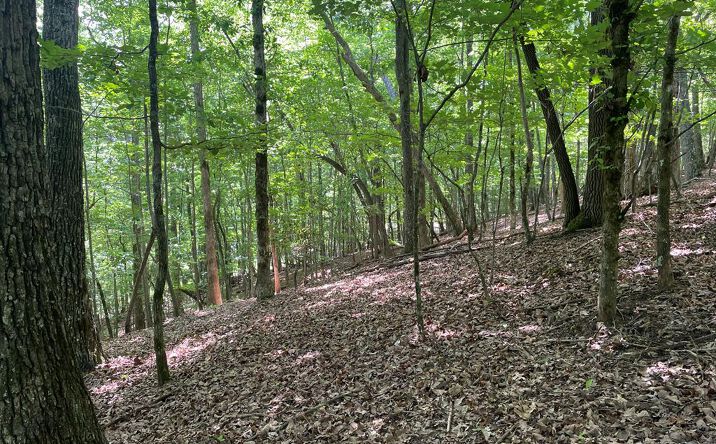 Pictures of Land property located at Lot 11 Brumby Run, Blairsville, GA 30512 for sales - image #1