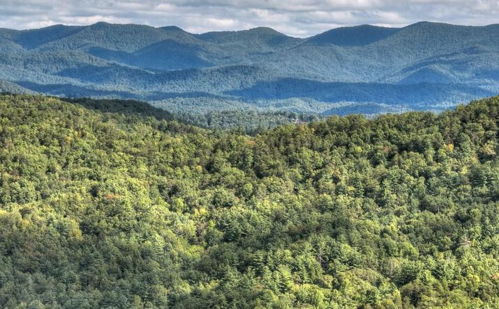 Lot 25 Utana Bluffs Trail, Ellijay