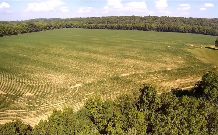 Pictures of Land property located at 50ac Roachester Road, Salem Twp, OH 45152 for sales - image #1