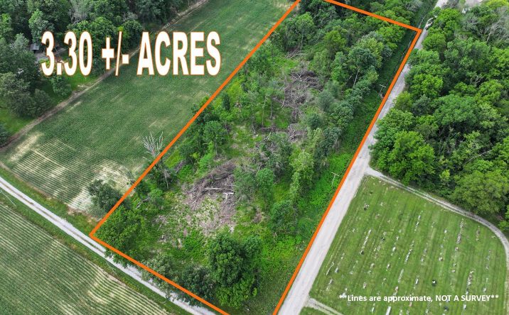 Pictures of Land property located at County Road 900 E, Browns, IL 62818 for sales - image #1