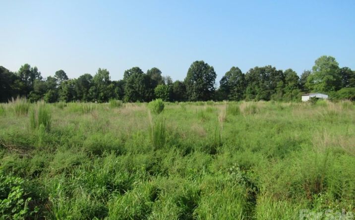 Pictures of Land property located at 3217 S Nc 16 Highway, Maiden, NC 28650 for sales - image #1
