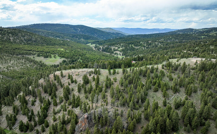 Pictures of Land property located at NHN Hoover Creek Road, HELMVILLE, MT 59843 for sales - image #1