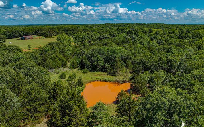 Pictures of Land property located at Romulus Road, Macomb, OK 74852 for sales - image #1