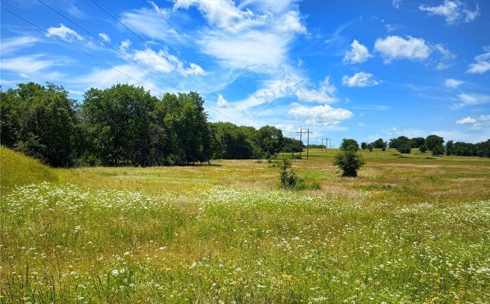 Pictures of Land property located at 1065 Road, Hitchita, OK 74426 for sales - image #1
