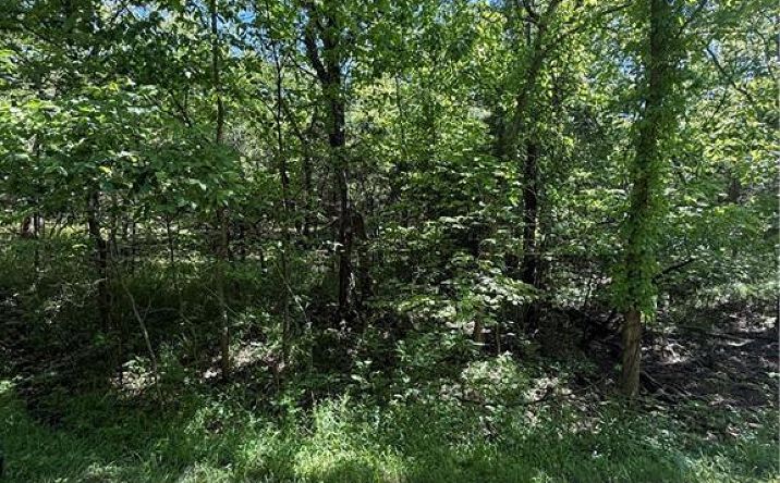 Pictures of Land, Special Purpose, Multifamily property located at 10 Scenic Lane, Linn Valley, KS 66040 for sales - image #1