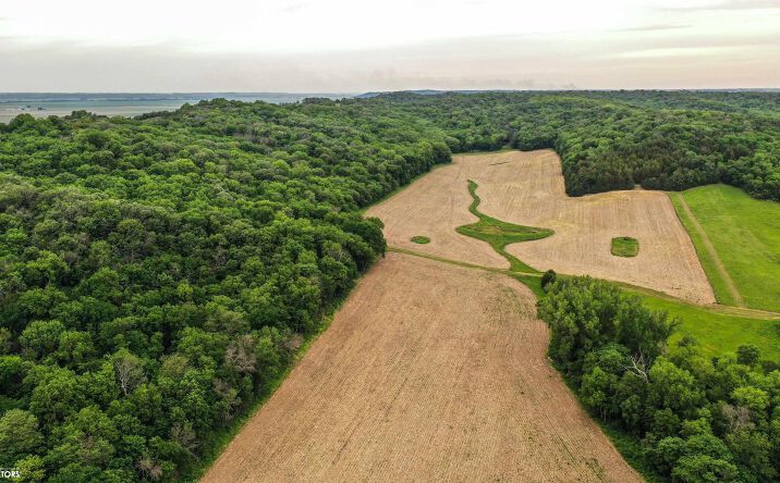 Pictures of Land property located at 185th Avenue, Thurman, IA 51654 for sales - image #1