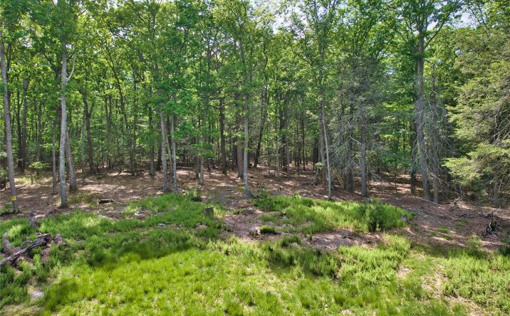 Pictures of Land, Multifamily property located at Jersey Road, Wurtsboro, NY 12790 for sales - image #1
