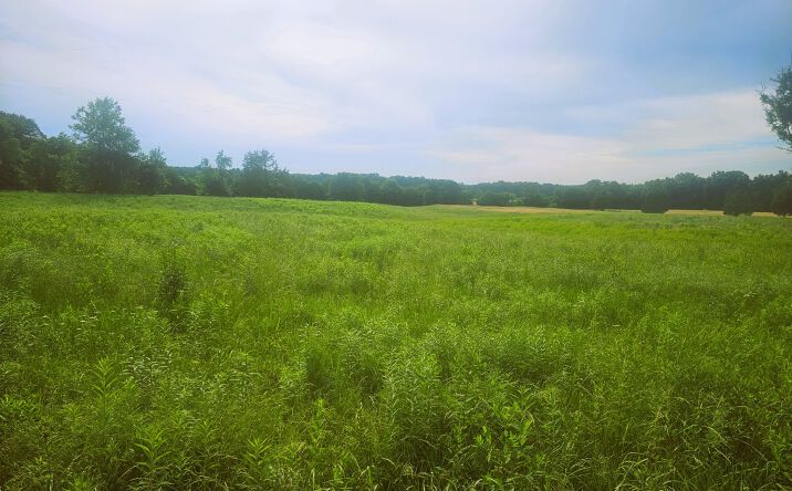 Pictures of Land, Multifamily, Special Purpose property located at N Stanford Lane, Opdyke, IL 62872 for sales - image #1