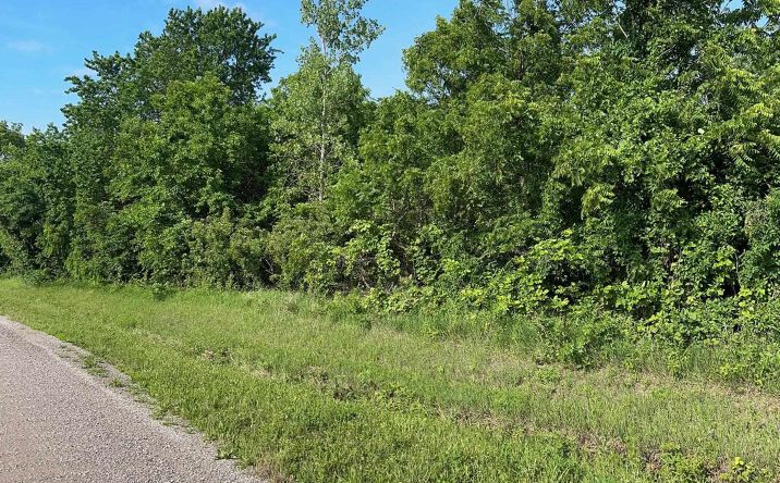 Pictures of Land property located at SE Ratner RD, Tecumseh, KS 66542 for sales - image #1