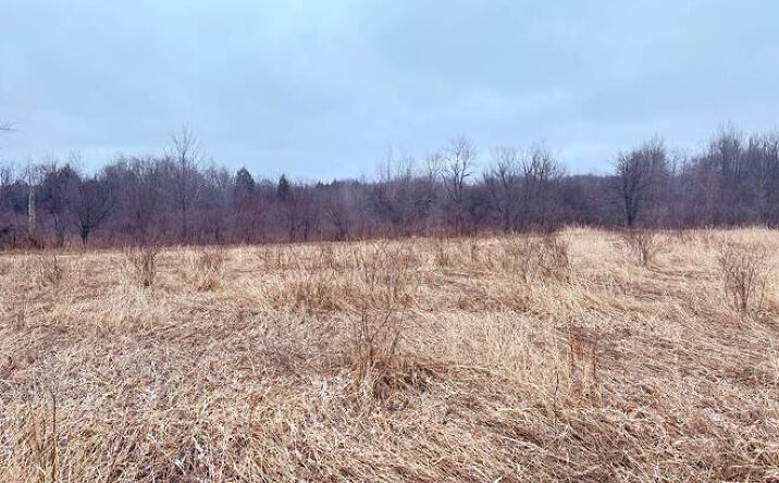 Pictures of Land property located at 00 Route 89, North East, PA 16428 for sales - image #1