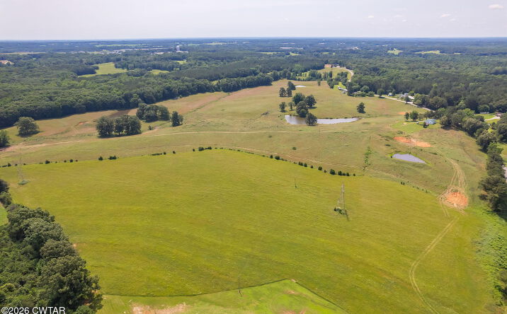 Pictures of Land property located at 1450 Longsought Road, Wildersville, TN 38388 for sales - image #1