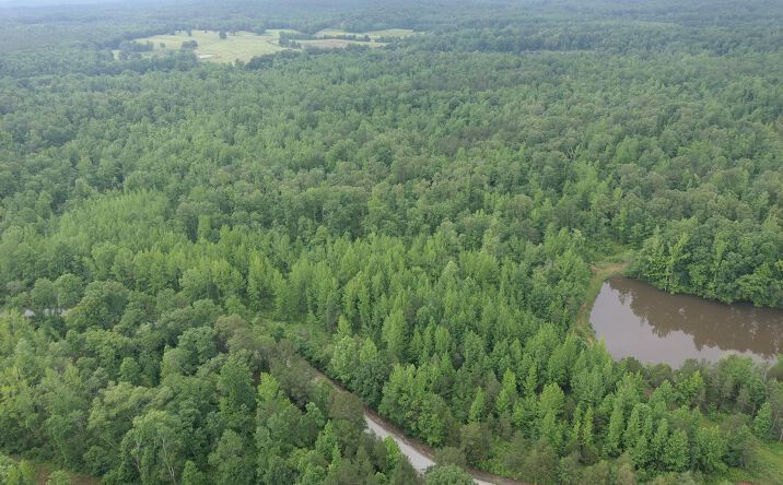 Pictures of Land property located at Butler Road, Pinson, TN 38366 for sales - image #1