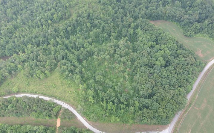 Pictures of Land property located at Butler Road, Pinson, TN 38366 for sales - image #1
