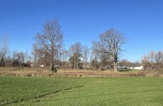 33307007