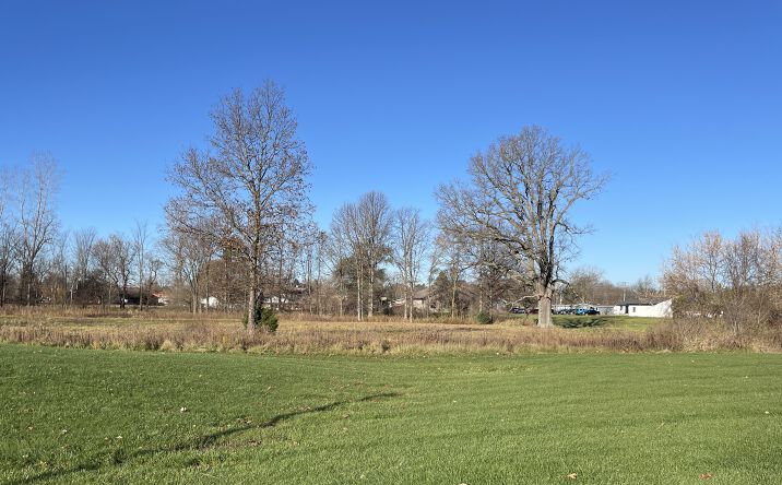Pictures of Land property located at 315 HAMMAN DR, EATON RAPIDS, MI 48827 for sales - image #1