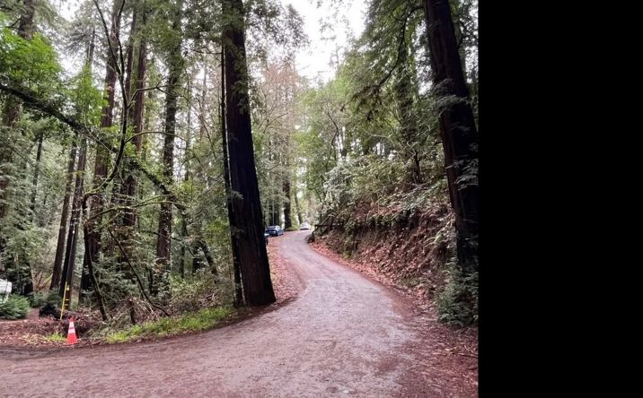 Pictures of Land property located at 55 Conifer Way, Woodacre, CA 94973 for sales - image #1
