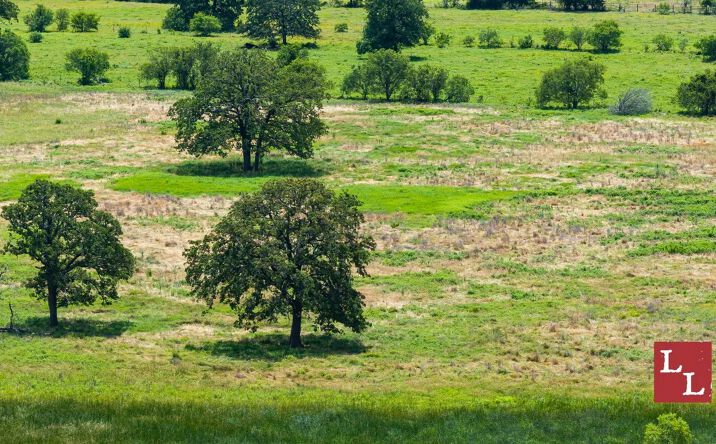 Pictures of Land property located at White Rose Road, Thackerville, OK 73459 for sales - image #1