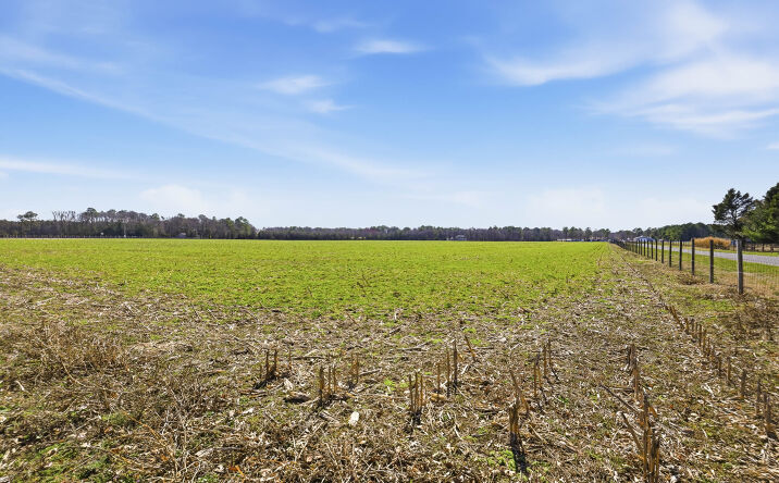 Pictures of Land, Special Purpose, Business for Sale property located at 89 HUNTING QUARTER RD HOUSTON DE 19954-2716, HOUSTON, DE 19954-2716 for sales - image #1
