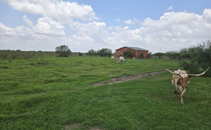 Pictures of Land, Multifamily property located at W Fm 675, San Benito, TX 78586 for sales - image #1