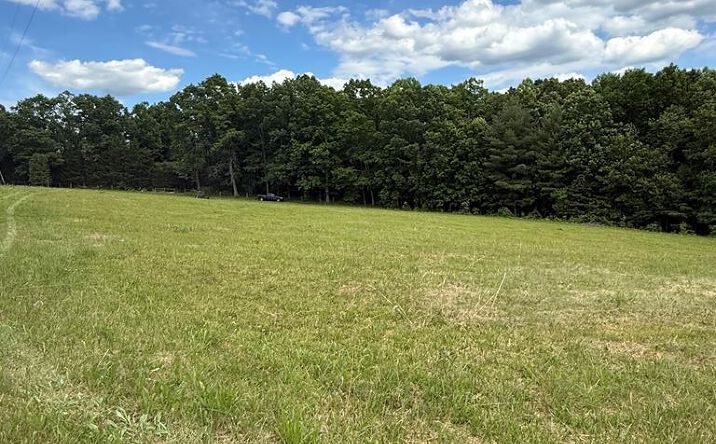 Pictures of Land, Special Purpose property located at Fritz Run Rd., Ballard, WV 24918 for sales - image #1