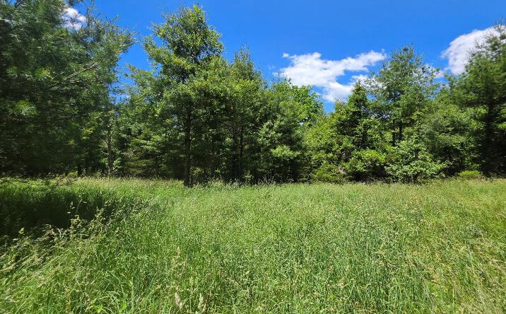 Pictures of Land, Multifamily property located at TBD Oak Grove Rd, Woodlawn, VA 24381 for sales - image #1
