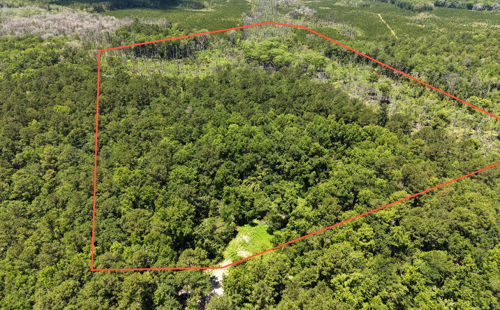 Pictures of Land property located at Maple Ford Road, Waverly, GA 31565 for sales - image #1