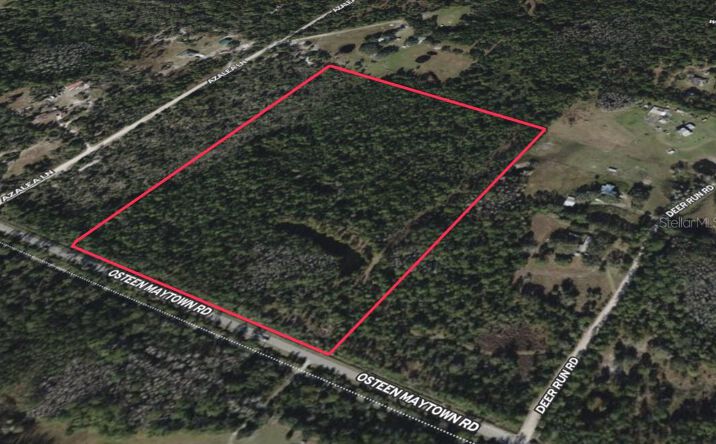 Pictures of Land property located at MAYTOWN RD, OSTEEN, FL 32764 for sales - image #1