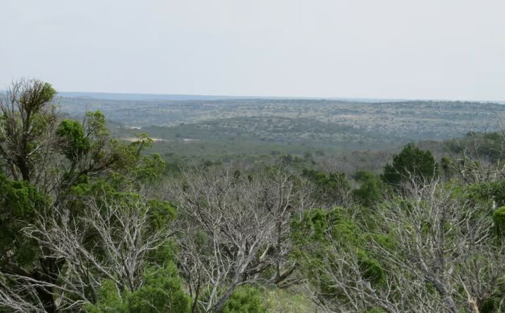43 miles SW of Sonora, Tx off Hwy. 189, Sonora