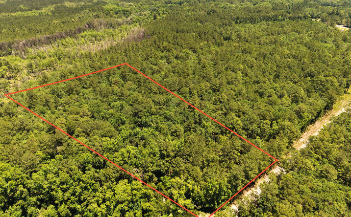 Pictures of Land property located at 12 Acres Maple Ford Road, Waverly, GA 31565 for sales - image #1