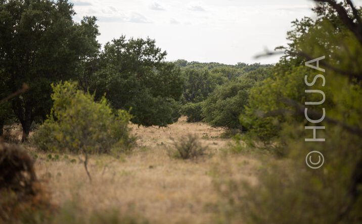 Pictures of Land property located at Off Highway 190, Menard, TX 76550 for sales - image #1
