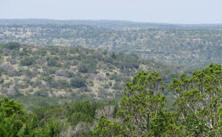 Pictures of Land property located at Dolan Crk Rd, Del Rio, TX 78840 for sales - image #1