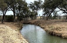 33319782
