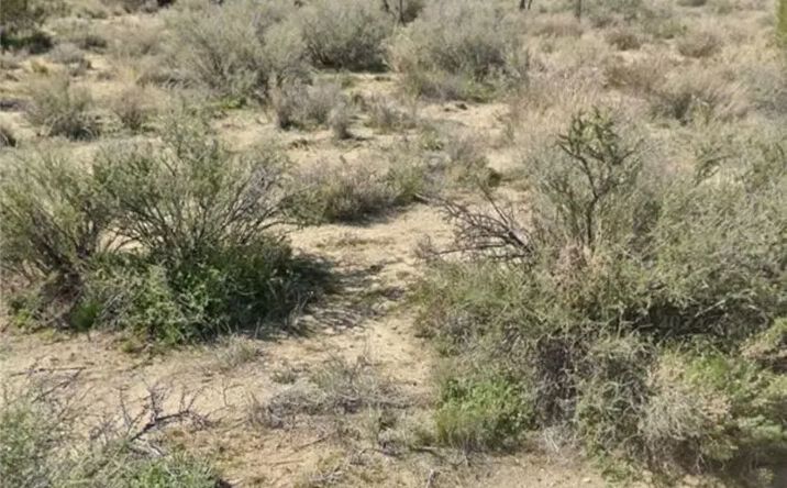 Pictures of Land property located at E Avenue Z, Llano, CA 93544 for sales - image #1