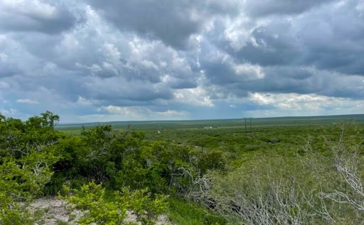 Pictures of Land property located at Five Minutes South of Freer, Tx on the West side of Hwy 16, Freer, TX 78357 for sales - image #1